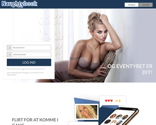 NaughtyBook Logo