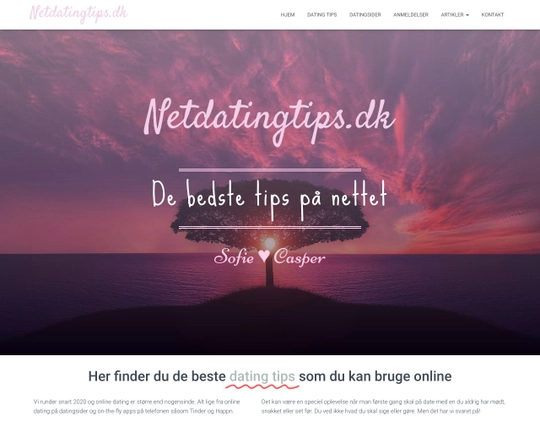 NetdatingTips.dk Logo