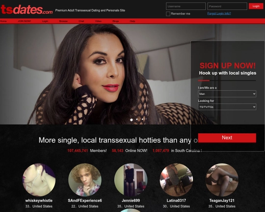 TsDates Logo